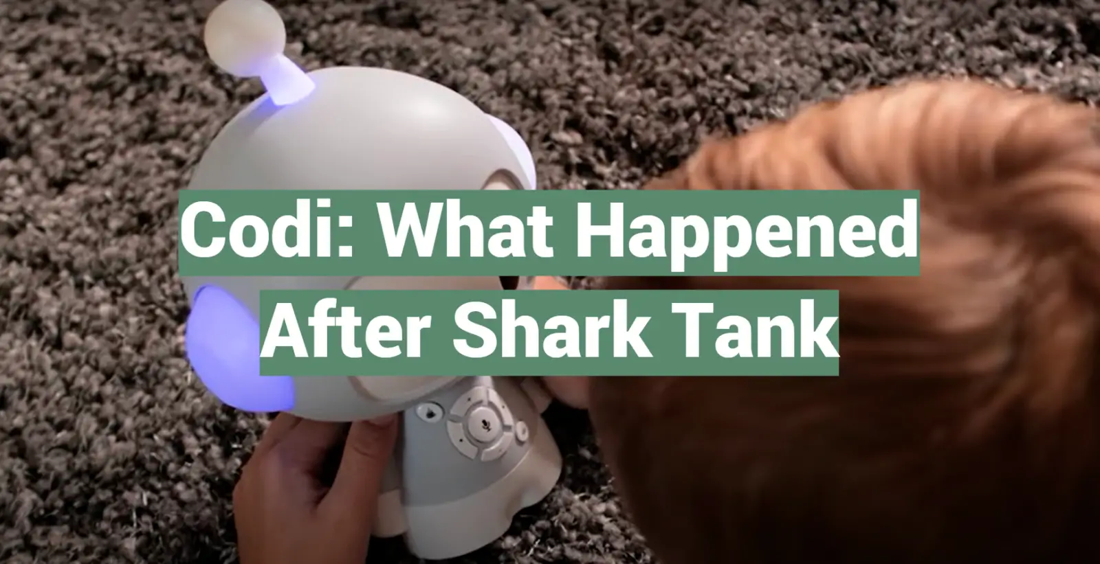 Codi: What Happened After Shark Tank