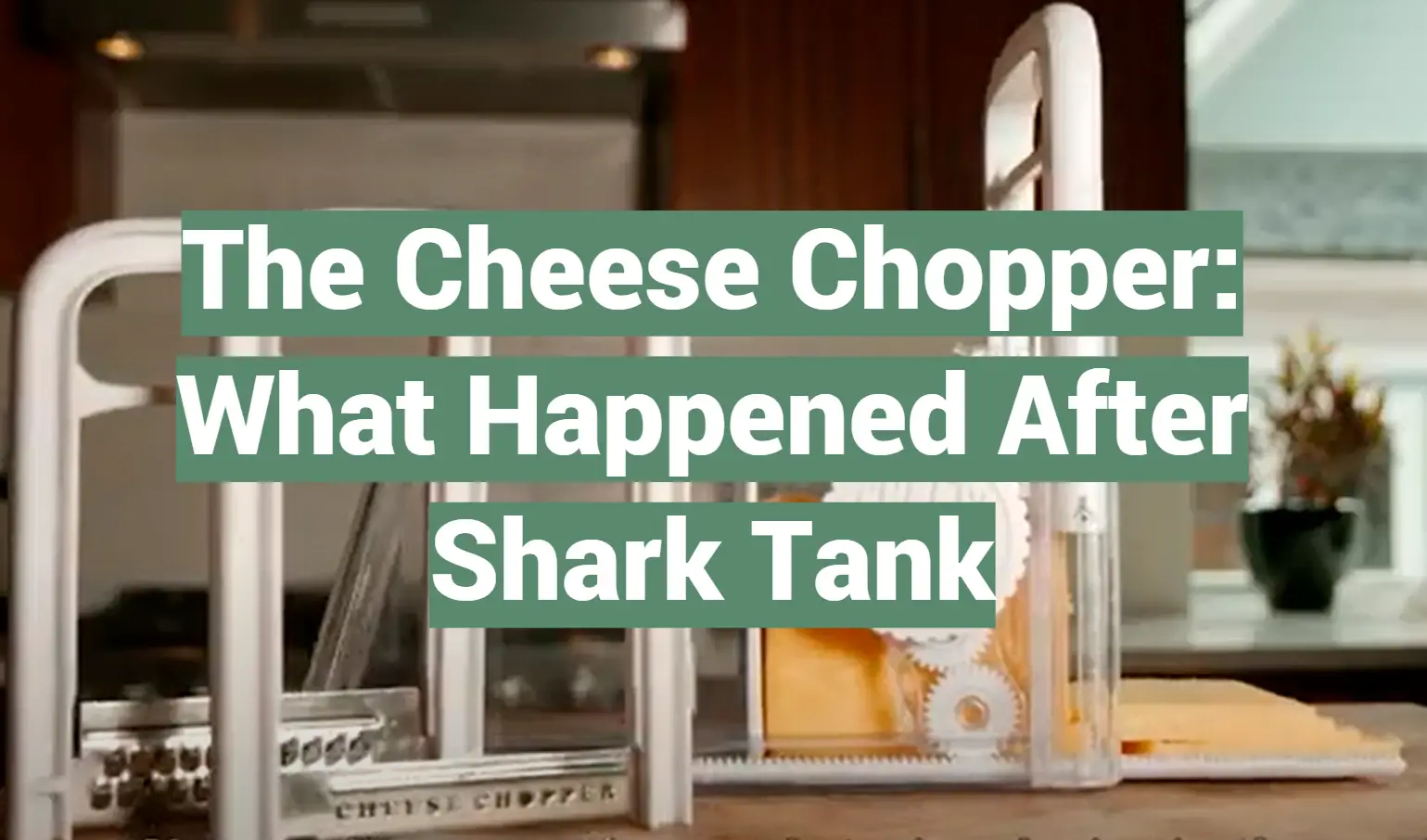 The Cheese Chopper: What Happened After Shark Tank - SharkTankWiki
