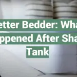 Better Bedder: What Happened After Shark Tank