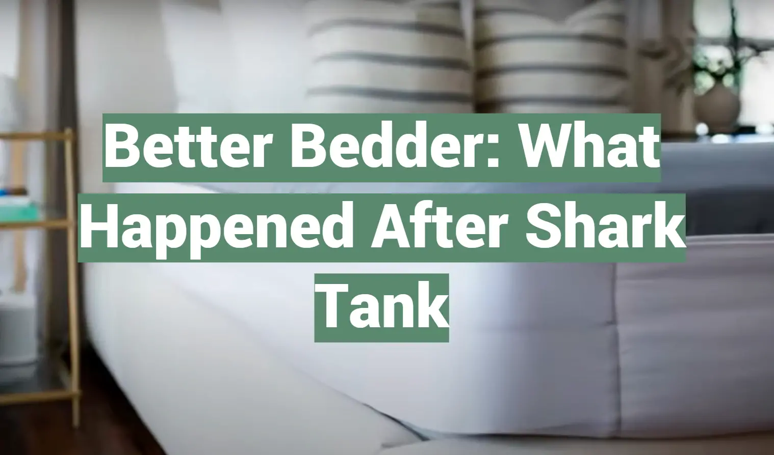 Better Bedder: What Happened After Shark Tank