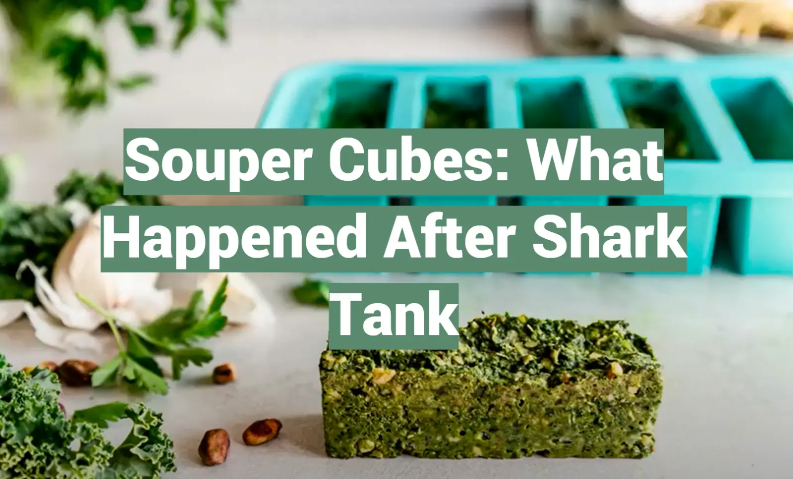 Souper Cubes: What Happened After Shark Tank