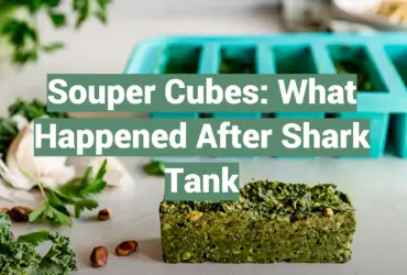 Souper Cubes: What Happened After Shark Tank