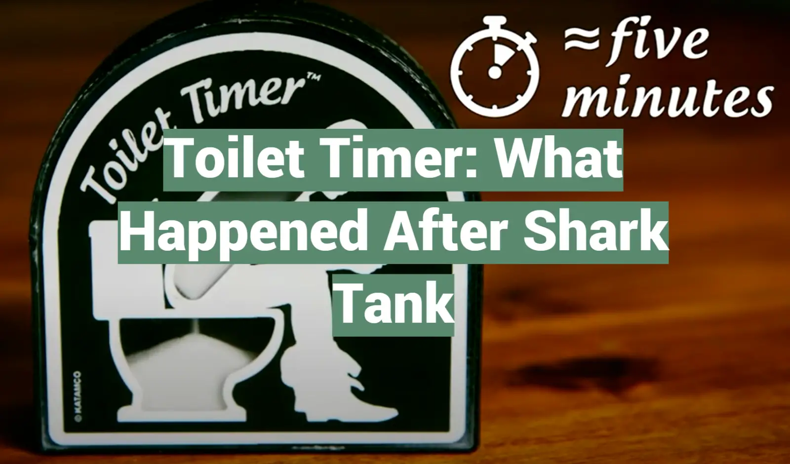 Toilet Timer: What Happened After Shark Tank