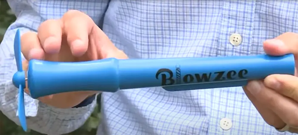 What is Blowzee?