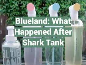 Blueland: What Happened After Shark Tank