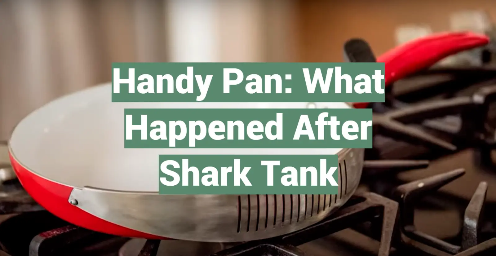Handy Pan: What Happened After Shark Tank