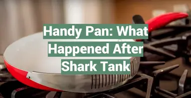 Handy Pan: What Happened After Shark Tank? - OnlinebizBooster