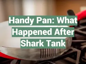 Handy Pan: What Happened After Shark Tank