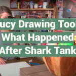 Lucy Drawing Tool: What Happened After Shark Tank