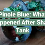 Pinole Blue: What Happened After Shark Tank