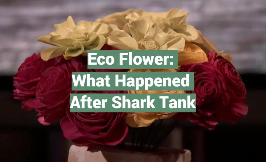 Eco Flower What Happened After Shark Tank SharkTankWiki