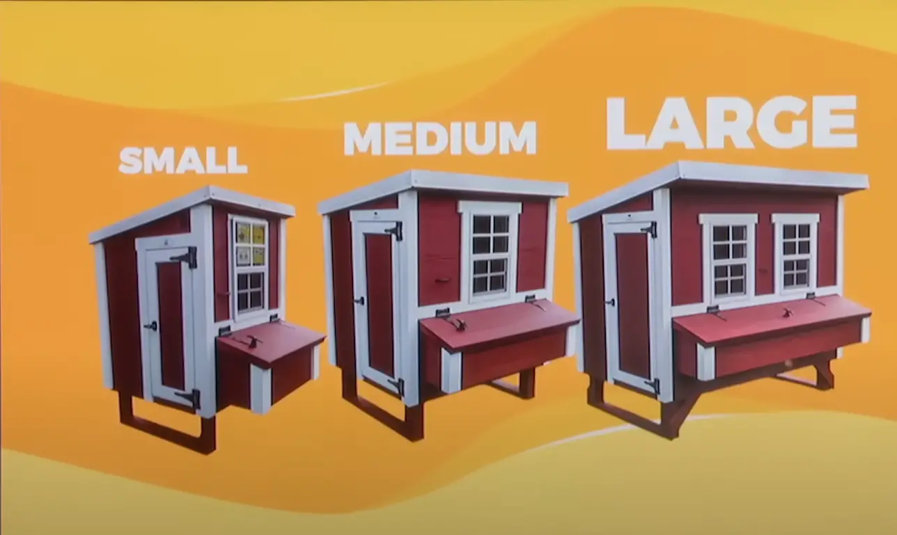 OverEZ Chicken Coops What Happened After Shark Tank SharkTankWiki