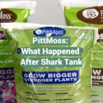 PittMoss: What Happened After Shark Tank