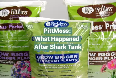 PittMoss: What Happened After Shark Tank