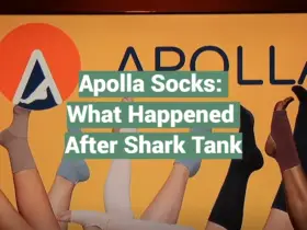 Apolla Socks: What Happened After Shark Tank