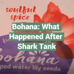 Bohana: What Happened After Shark Tank