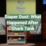 Diaper Dust: What Happened After Shark Tank