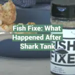 Fish Fixe: What Happened After Shark Tank