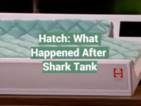 Hatch: What Happened After Shark Tank