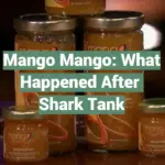 Mango Mango: What Happened After Shark Tank