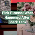 Pink Picasso: What Happened After Shark Tank