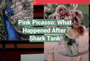 Pink Picasso: What Happened After Shark Tank