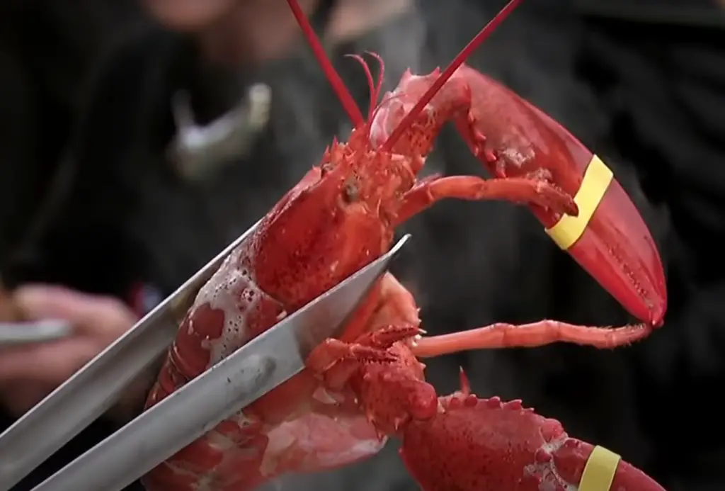 Is Cousins Maine Lobster successful?