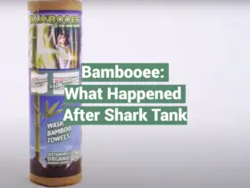 Bambooee: What Happened After Shark Tank