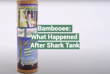 Bambooee: What Happened After Shark Tank