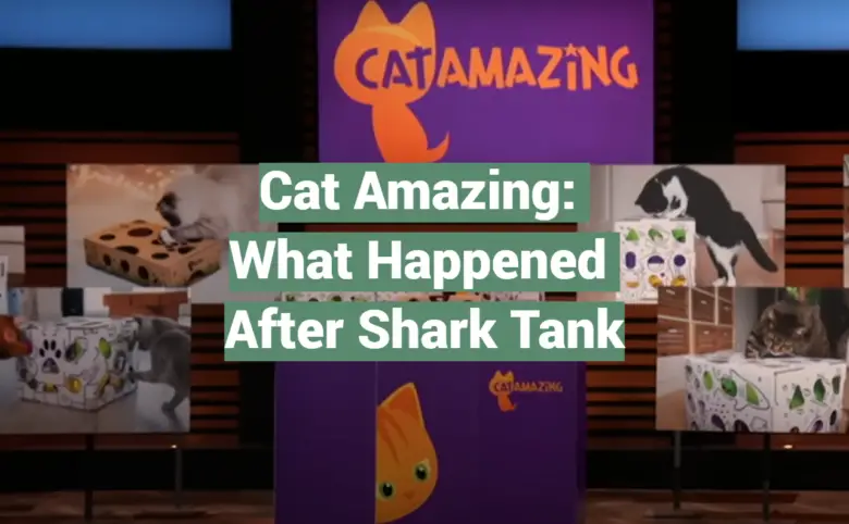 Cat Amazing: What Happened After Shark Tank SharkTankWiki