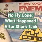 No Fly Cone: What Happened After Shark Tank