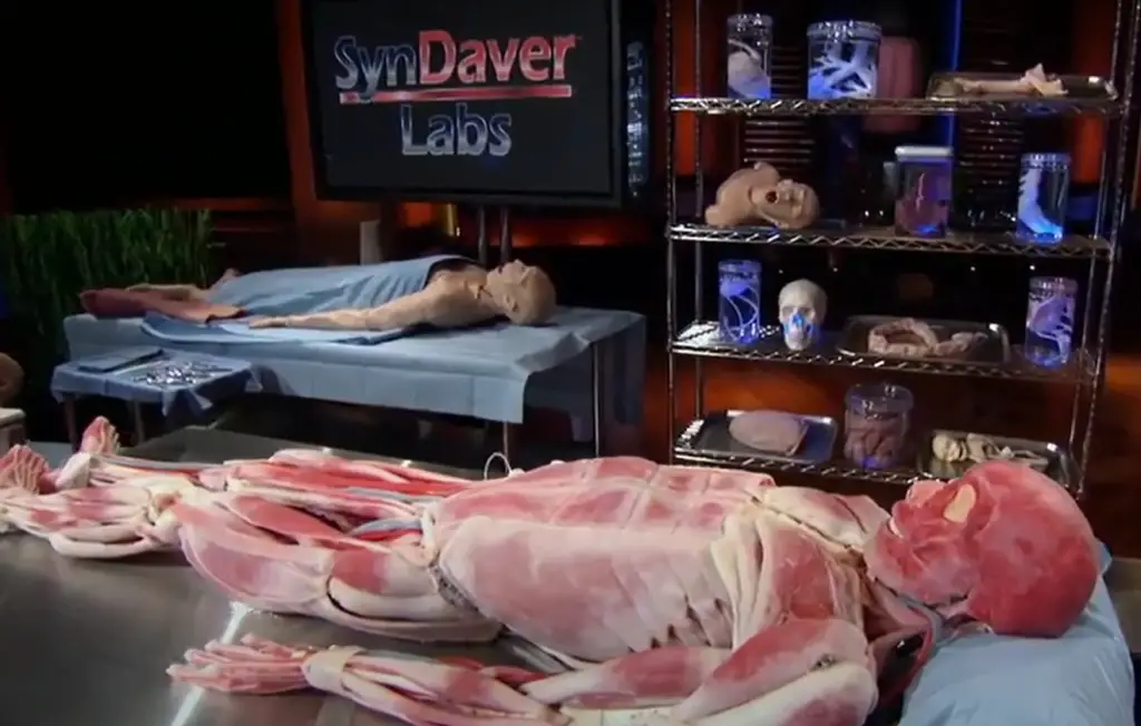 Who Is The Founder Of SynDaver Labs?