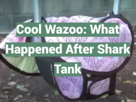 Cool Wazoo: What Happened After Shark Tank