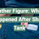Father Figure: What Happened After Shark Tank