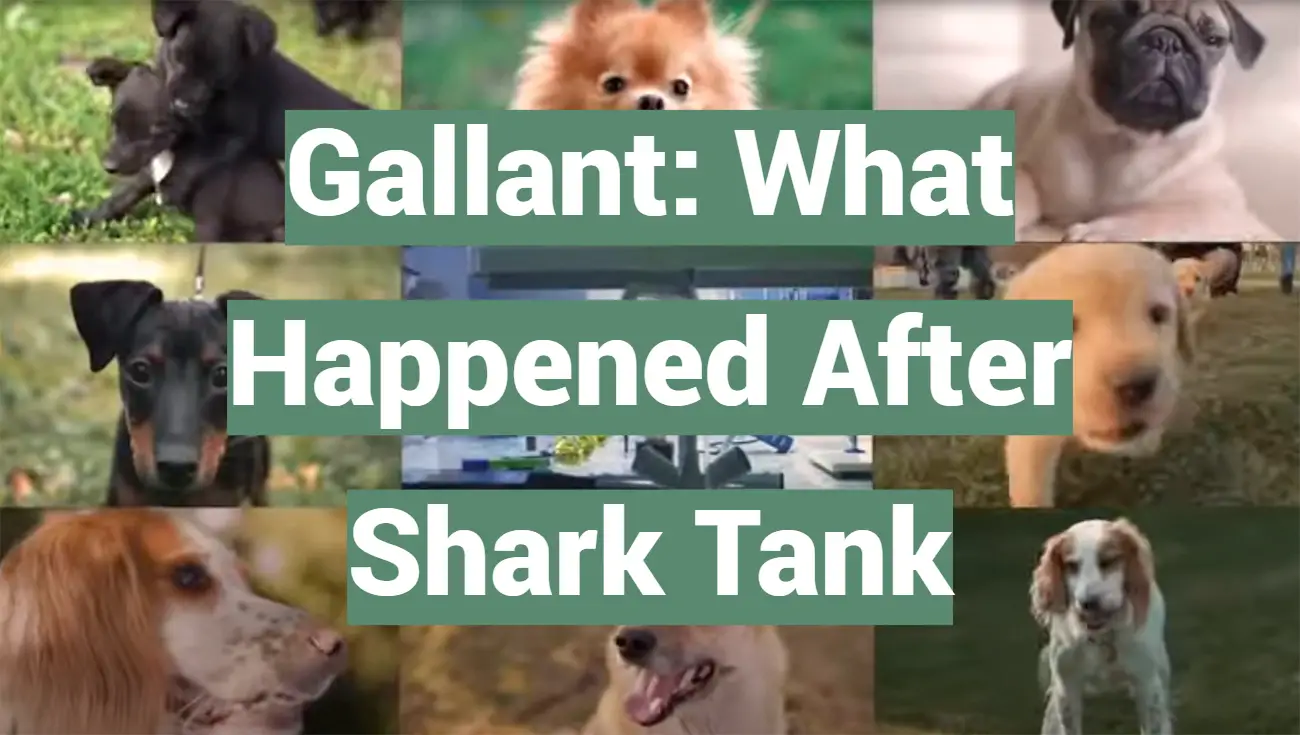 Gallant: What Happened After Shark Tank