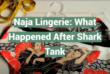 Naja Lingerie: What Happened After Shark Tank