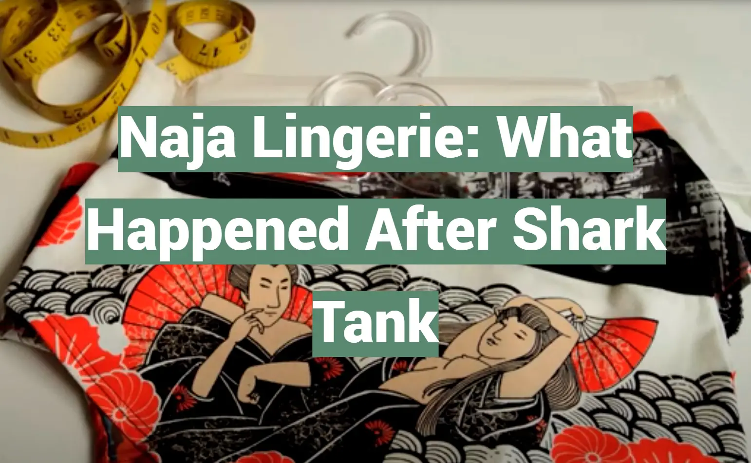Naja Lingerie: What Happened After Shark Tank