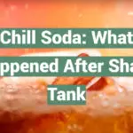 Chill Soda: What Happened After Shark Tank