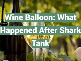 Wine Balloon: What Happened After Shark Tank