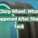 Chirp Wheel: What Happened After Shark Tank