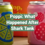 Poppi: What Happened After Shark Tank