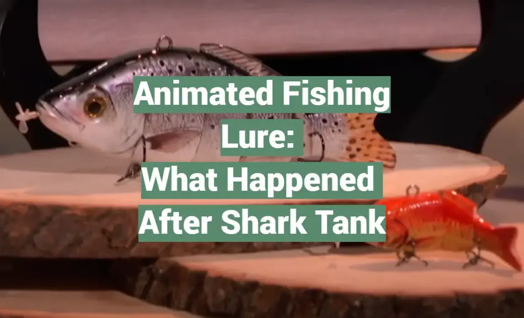 Animated Fishing Lure What Happened After Shark Tank SharkTankWiki
