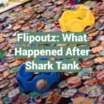 Flipoutz: What Happened After Shark Tank