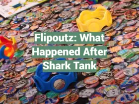 Flipoutz: What Happened After Shark Tank