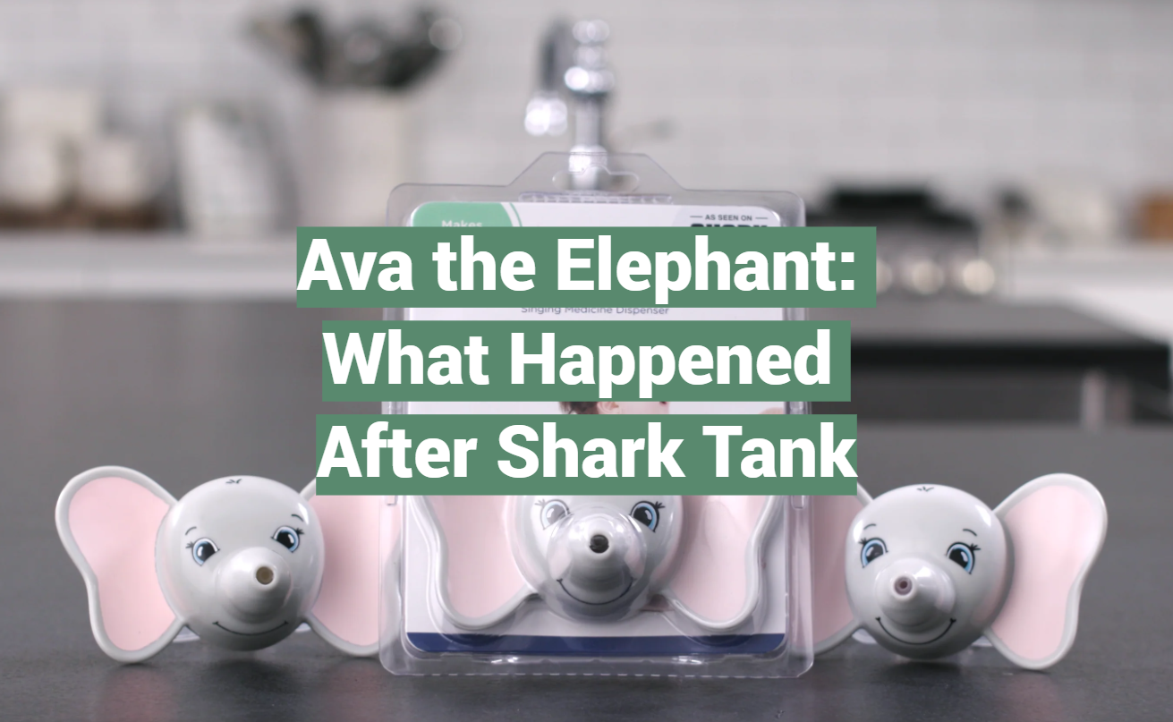Ava the Elephant: What Happened After Shark Tank