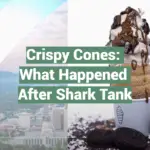 Crispy Cones: What Happened After Shark Tank
