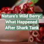 Nature’s Wild Berry: What Happened After Shark Tank
