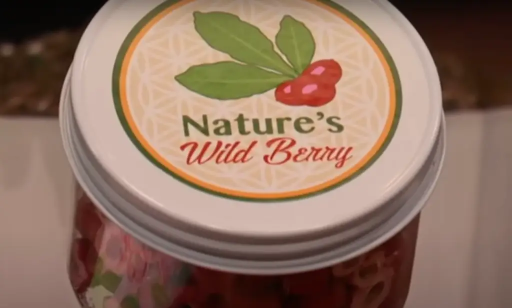 Nature’s Wild Berry After The Shark Tank