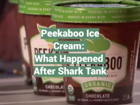 Peekaboo Ice Cream: What Happened After Shark Tank