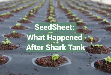 SeedSheet: What Happened After Shark Tank